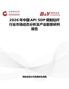 2026年中國API 5DP鋼制鉆桿行業(yè)市場動(dòng)態(tài)分析及產(chǎn)業(yè)前景研判報(bào)告