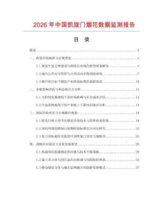 2026年中國凱旋門煙花數據監測報告
