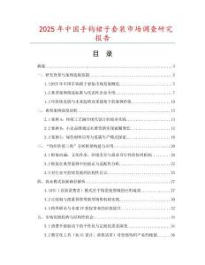 2025年中國手鉤裙子套裝市場調查研究報告