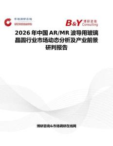 2026年中國AR MR波導用玻璃晶圓行業(yè)市場動態(tài)分析及產(chǎn)業(yè)前景研判報告