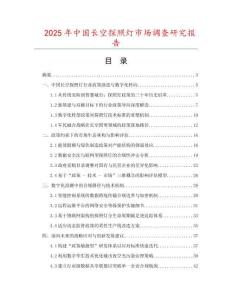 2025年中國長空探照燈市場調(diào)查研究報告