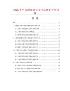 2025年中國腰椎牽引帶市場調(diào)查研究報告