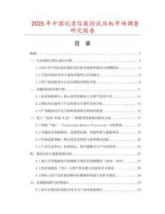 2025年中國(guó)記錄儀數(shù)控試壓機(jī)市場(chǎng)調(diào)查研究報(bào)告