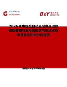 2026年中國全自動直型爪高波峰焊錫裝置行業發展現狀與市場占有率及排名研究分析報告