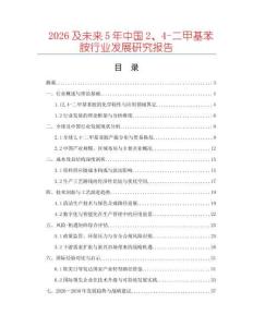 2026及未來5年中國2、4-二甲基苯胺行業發展研究報告