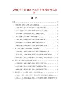 2025年中国LED冷光管市场调查研究报告