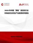 2026年中国“黄袍”清洗剂行业市场动态分析及产业前景研判报告