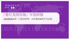 「霧燈美國市場」年度研報