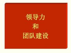 （163頁PPT）領導力和團隊建設