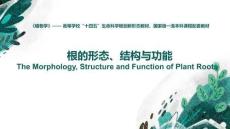 《植物學(xué)（第2版）》課件 4-4 根瘤與菌根