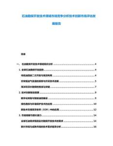 石油勘探開發(fā)技術(shù)領(lǐng)域市場競爭分析技術(shù)創(chuàng)新市場評估發(fā)展報(bào)告