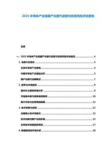 2025半導體產(chǎn)業(yè)鏈國產(chǎn)化替代進程與投資風險評估報告