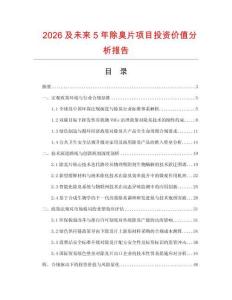 2026及未來5年除臭片項目投資價值分析報告