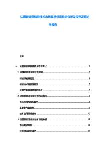 法國(guó)新能源儲(chǔ)能技術(shù)市場(chǎng)現(xiàn)狀供需趨勢(shì)分析及投資發(fā)展方向報(bào)告