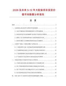 2026及未來5-10年大膠墊項目投資價值市場數據分析報告