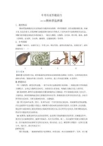 中考歷史答題技巧：圖畫型選擇題_Word格式；共8頁