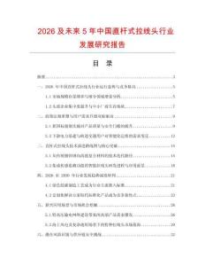 2026及未來5年中國直桿式拉線頭行業(yè)發(fā)展研究報告