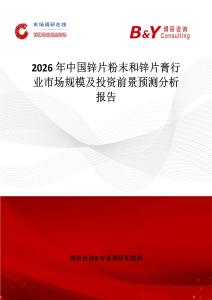 2026年中國(guó)鋅片粉末和鋅片膏行業(yè)市場(chǎng)規(guī)模及投資前景預(yù)測(cè)分析報(bào)告