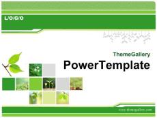 作圖必備免費國外精美動態PPT模板