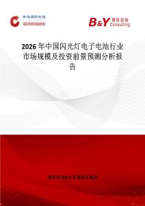 2026年中國閃光燈電子電池行業(yè)市場規(guī)模及投資前景預(yù)測分析報(bào)告