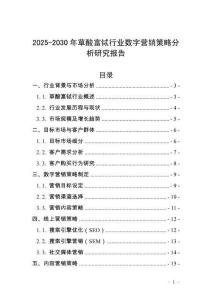 2025-2030年草酸富鋱行業(yè)數(shù)字營(yíng)銷策略分析研究報(bào)告