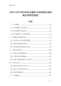 2025-2030年時尚發光輔料行業跨境出海戰略分析研究報告