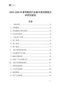 2025-2030年苯甲酸鈉行業(yè)數(shù)字營銷策略分析研究報告