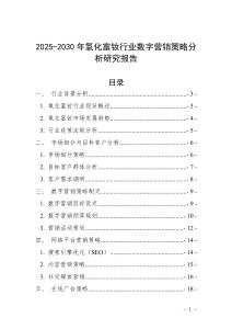 2025-2030年氧化富钕行业数字营销策略分析研究报告
