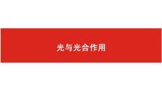 生物-人教版-一輪復(fù)習(xí)：光與光合作用同課異構(gòu)課件