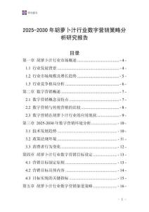 2025-2030年胡蘿卜汁行業(yè)數(shù)字營銷策略分析研究報(bào)告