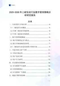 2025-2030年二硫化硅行業(yè)數(shù)字營銷策略分析研究報告