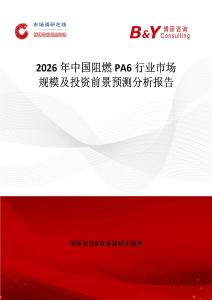 2026年中國阻燃PA6行業(yè)市場規(guī)模及投資前景預(yù)測分析報告