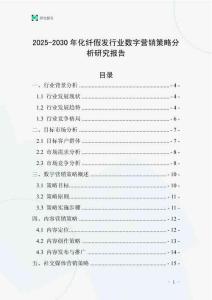 2025-2030年化纖假發(fā)行業(yè)數(shù)字營銷策略分析研究報告