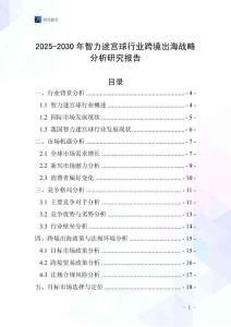 2025-2030年智力迷宮球行業(yè)跨境出海戰(zhàn)略分析研究報告
