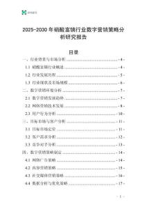 2025-2030年硝酸富鏑行業(yè)數(shù)字營銷策略分析研究報告