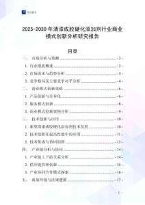 2025-2030年清漆或膠硬化添加劑行業商業模式創新分析研究報告