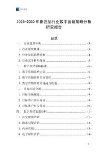 2025-2030年鋼藝品行業(yè)數(shù)字營銷策略分析研究報告