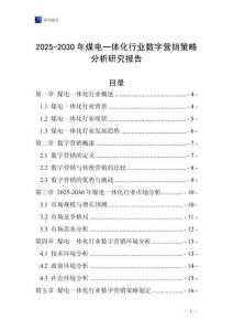 2025-2030年煤電一體化行業數字營銷策略分析研究報告