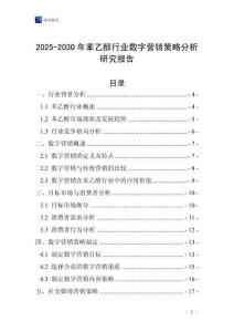 2025-2030年苯乙醇行業(yè)數(shù)字營銷策略分析研究報(bào)告