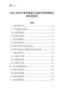 2025-2030年苯甲酰氯行業(yè)數(shù)字營(yíng)銷策略分析研究報(bào)告