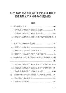 2025-2030年晶圓自動(dòng)化生產(chǎn)線企業(yè)制定與實(shí)施新質(zhì)生產(chǎn)力戰(zhàn)略分析研究報(bào)告