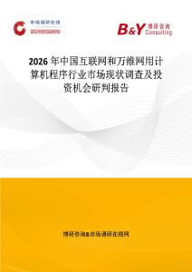 2026年中國互聯網和萬維網用計算機程序行業市場現狀調查及投資機會研判報告