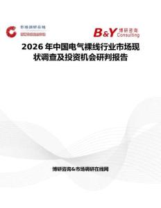 2026年中國電氣裸線行業市場現狀調查及投資機會研判報告