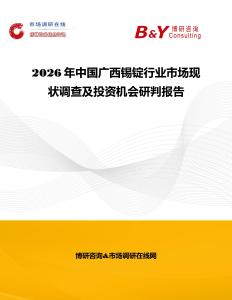 2026年中國廣西錫錠行業(yè)市場現(xiàn)狀調(diào)查及投資機會研判報告