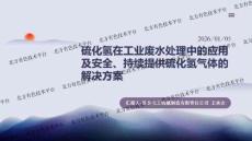 2025第二屆工業(yè)廢水處理與資源化利用交流會：硫化氫在工業(yè)廢水處理中的應(yīng)用及安全、持續(xù)提供硫化氫氣體的解決方案