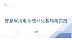 智慧配用電系統(tǒng)AI化基礎(chǔ)與實踐