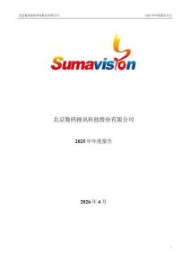 數碼視訊：2025年年度報告