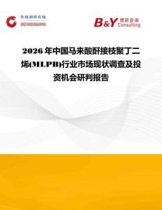 2026年中國馬來酸酐接枝聚丁二烯(MLPB)行業(yè)市場現(xiàn)狀調(diào)查及投資機會研判報告