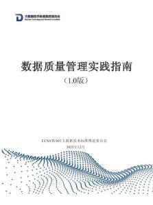 大數(shù)據(jù)技術(shù)標(biāo)準(zhǔn)推進(jìn)委員會(huì)：2025年數(shù)據(jù)質(zhì)量管理實(shí)踐指南1.0