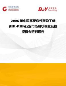 2026年中國高反應(yīng)性聚異丁烯(HR-PIB)行業(yè)市場現(xiàn)狀調(diào)查及投資機(jī)會研判報(bào)告